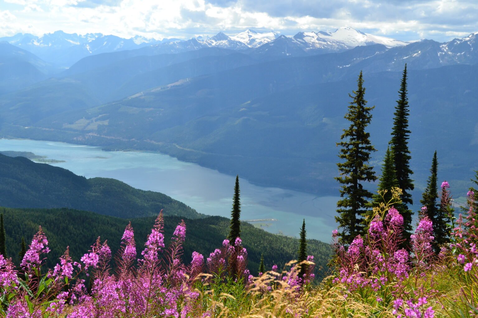Over Wos RMR Trail 1708